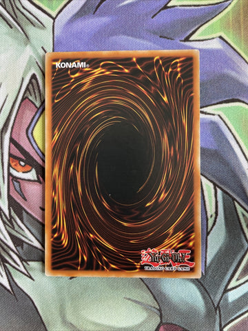 ANPR-EN023 Scary Moth Common NM Condition UNL Edition Yugioh Card (back)