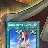 BP01-EN082  YuGiOh - FORBIDDEN CHALICE STAR FOIL UNL