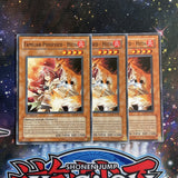 EEN-EN028 x3 Familiar-Possessed - Hiita Common Playset Yugioh