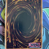 SPWA-EN026 Magical Musket - Dancing Needle Secret Rare 1st Edition NM Yugioh Car