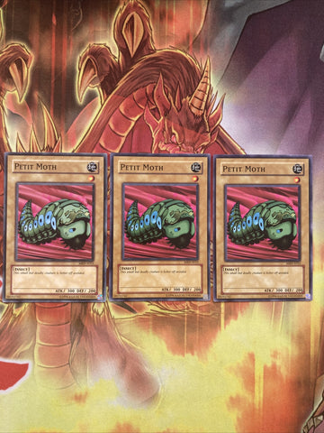 MRD-E023 x3 Petit Moth Common Yugioh!