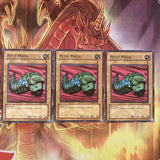 MRD-E023 x3 Petit Moth Common Yugioh!