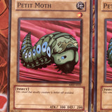 MRD-E023 x3 Petit Moth Common Yugioh!