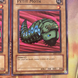 MRD-E023 x3 Petit Moth Common Yugioh!