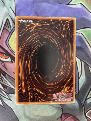 DR1-EN047 Trap Of Board Eraser Common Unl Edition NM Yugioh Card (back)