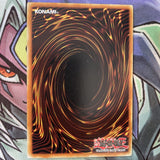 DR1-EN047 Trap Of Board Eraser Common Unl Edition NM Yugioh Card