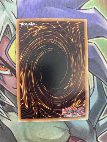 STP3-EN016 D.D. Crow Common Unlimited Edition NM Yugioh Card (back)