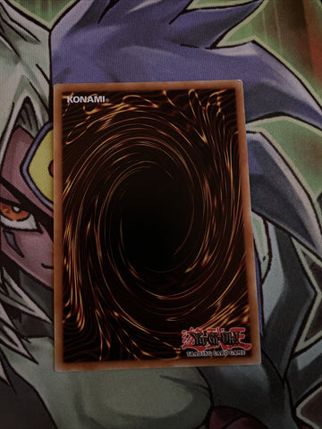 MP21-EN254 Raviel, Lord Of Phantasms Prismatic Secret 1st Edition NM Yugioh Card (back)