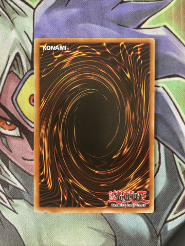 RYMP-EN073 Mezuki Common 1st Edition Near Mint YuGiOh Card (back)