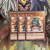 SDFC-EN023 x3 Ronintoadin Common Excellent Condition Yugioh
