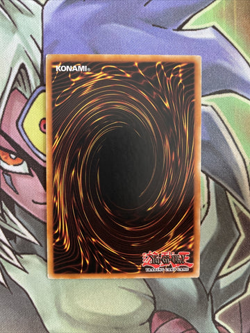 RP01-EN068 Senju Of The Thousand Hands Common Unl Edition NM Yugioh Card (back)