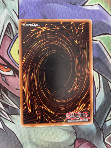 DR3-EN132 Maji-Gire Panda Common Unlimited Edition NM Yugioh Card (back)