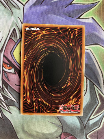 OP06-EN007 Paleozoic Eldonia Super Rare UNL Edition NM Yugioh Card (back)