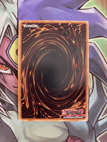 PHSW-DE026 Wind Up Kitten German Ultra Rare 1st Edition NM Yugioh Card (back)