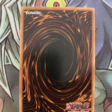 GLD5-EN010 Dark Scorpion - Chick The Yelow Common Limited Edition NM Yugioh Card