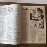 Comic THE COMIC READER FANZINE - AUG 1982 #203 (USED ) - GHOST RIDER