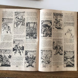 Comic THE COMIC READER FANZINE - AUG 1982 #203 (USED ) - GHOST RIDER