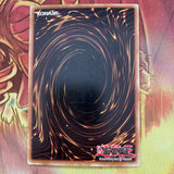 DB1-EN035 Labyrinth Wall Yugioh