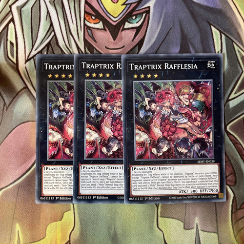 SDBT-EN039 x3 Traprix Rafflesia Common Excellent Condition Yugioh