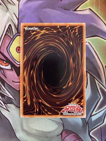 DP00-KR015 Dark Paladin Ultra Rare KOREAN UNL Edition NM Yugioh Card (back)