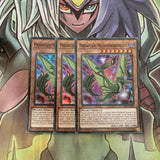 LED5-EN046 x3 Predaplant Heliamphorhynchus Super Rare Excellent Condition Yugioh