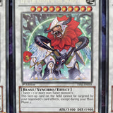 LVAL-EN058 3 X LEO, THE KEEPER OF THE SACRED TREE MIXED EDS RARE YUGIOH