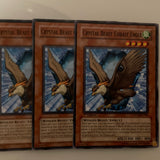 FOTB-EN006 x3 Crystal Beast Cobalt Eagle Common Playset Yugioh