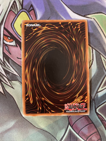 TSHD-EN096 Ally Of Justice Light Gazer Super Rare 1st Edition NM Yugioh Card (back)