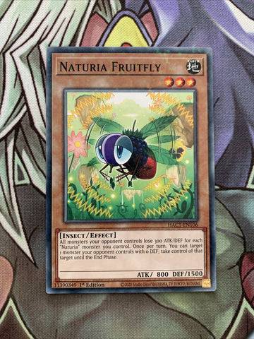 HAC1-EN106 Naturia Fruitfly Duel Terminal 1st Edition NM Yugioh Card