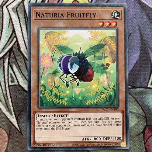 HAC1-EN106 Naturia Fruitfly Duel Terminal 1st Edition NM Yugioh Card
