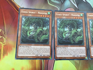 RIRA-EN015 x3 Tenyi Spirit - Nahata | 1st Edition | Rare Card YuGiOh (back)