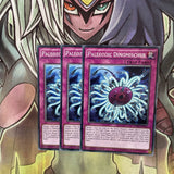 INOV-EN096 x3 Paleozoic Dinomischus Common Excellent Condition Yugioh