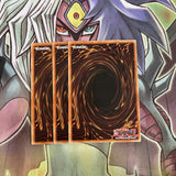 RP02-EN008 x3 Appropriate Common Excellent Conditon Yugioh