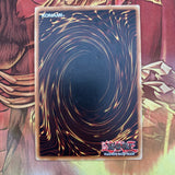 anpr-en089 Revival of the Immortals 1st Ed (LP) Super Yugioh!