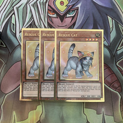 Smirking Gnome