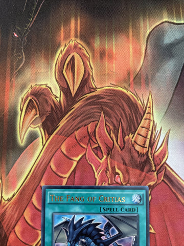 DRL3-EN060 The Fang of Critias Ultra Rare 1st edition Mint YuGiOh Card (back)