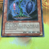 RGBT-EN009 Evil Thorn Common Yugioh Card 1st edition
