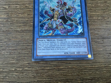 HA06-EN018 Evigishki Tetrogre Secret Rare 1st Edition Yugioh (back)