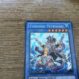 HA06-EN018 Evigishki Tetrogre Secret Rare 1st Edition Yugioh