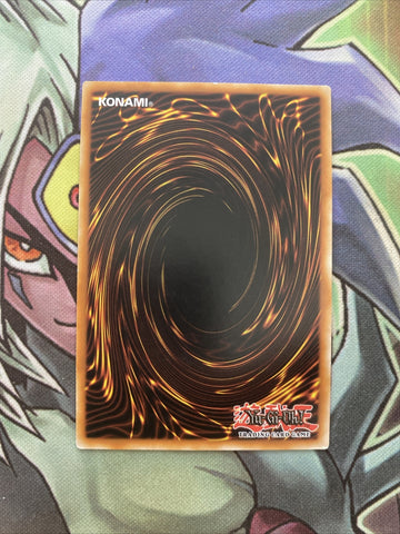 ANPR-EN062 Fossil Dig Common Unlim Edition NM Yugioh Card (back)