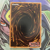 ANPR-EN062 Fossil Dig Common Unlim Edition NM Yugioh Card