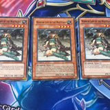 YS11-EN020 3x Warrior Lady of the Wasteland 1st Edition YuGiOh Cards