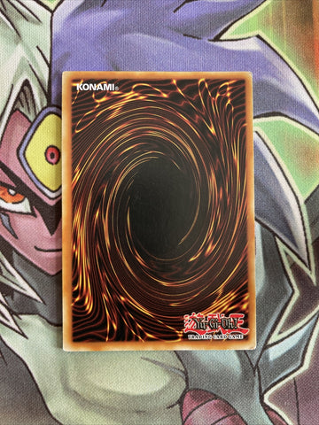 DRLG-EN021 Doble Passe Secret Rare Mixed Edition NM Yugioh Card (back)