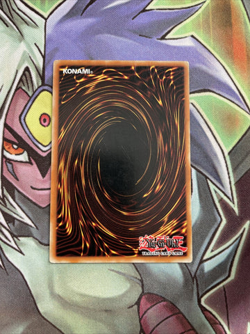 TP7-EN020 Nekogal #2 Common UNL Edition LP Yugioh Card (back)