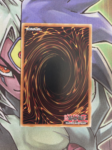 OP20-EN023 Ninjitsu Art Of Duplicaiton Common Unlimited Edition NM Yugioh Card (back)