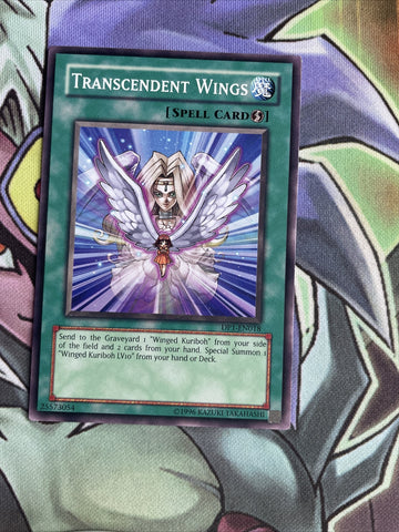 DP1-EN018 Transcendent Wings Common Unl Edition NM Yugioh Card