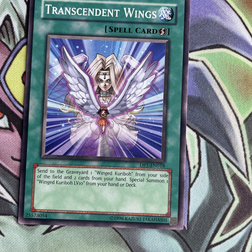 DP1-EN018 Transcendent Wings Common Unl Edition NM Yugioh Card