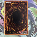DP1-EN018 Transcendent Wings Common Unl Edition NM Yugioh Card