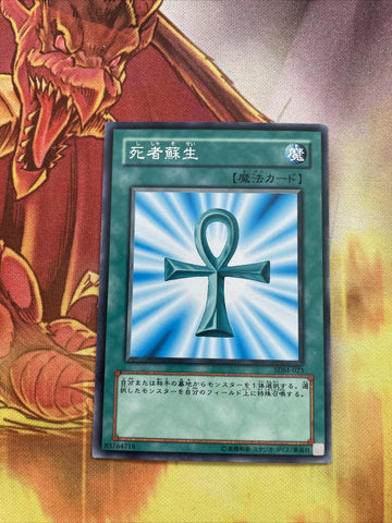 SDM-023 - Yugioh - Japanese - Monster Reborn NM