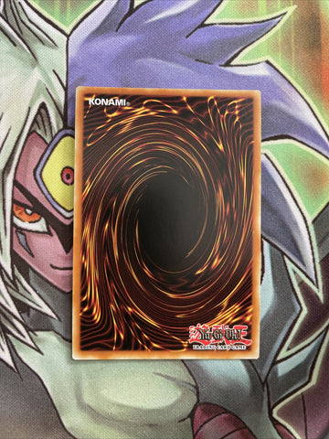 MP16-EN173 D/D/D Rebel King Leonidas Super Rare 1st Edition NM Yugioh Card (back)